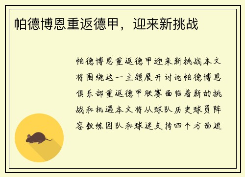 帕德博恩重返德甲，迎来新挑战